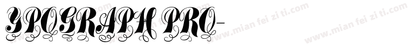 YPOGRAPH PRO字体转换
